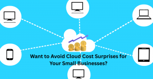 IT Support Service Firm Want to Avoid Cloud Cost Surprises for Your Small Businesses