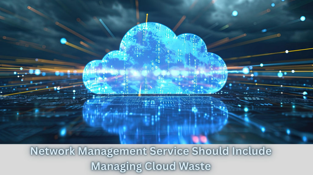 Network Management Service Should Include Managing Cloud Waste